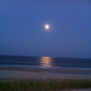 Meet your Posher, Lois